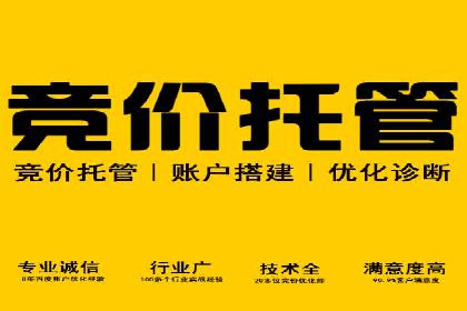 案例深度解读：SEM网络推广如何助力企业转型